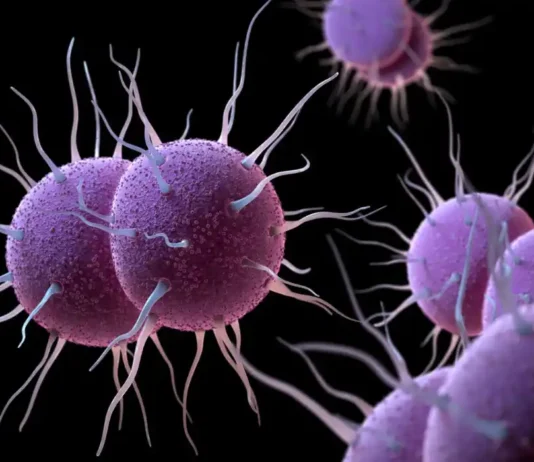 Gonorrea resistente agli antibiotici: l’ECDC lancia l’allarme per l’aumento della trasmissione locale in Europa Gonorrea - Photo Credits My-personaltrainer.it