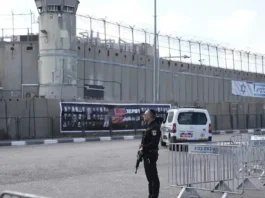 Israele, prigionieri palestinesi controllati da coccodrilli: questo il progetto guidato da Ben-Gvir Israele Coccodrilli - Photo Credits Euronews.com