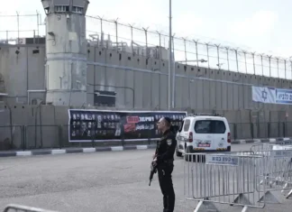 Israele, prigionieri palestinesi controllati da coccodrilli: questo il progetto guidato da Ben-Gvir Israele Coccodrilli - Photo Credits Euronews.com