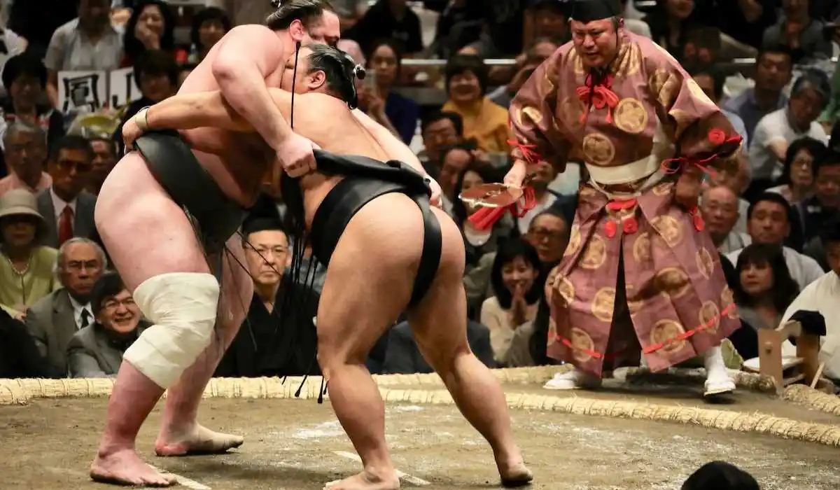 i lottatori di sumo tra pesi estremi e problemi di salute sempre pi249 frequenti da Metropolitanmagazine.it i lottatori di sumo tra pesi estremi e problemi di salute sempre pi249 frequenti