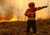 Portogallo, allerta rossa tra calore estremo e diffusione di incendi: 1.500 gli operatori attivi sul territorio Portogallo Incendi - Photo Credits Euronews.com