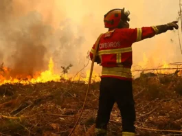 Portogallo, allerta rossa tra calore estremo e diffusione di incendi: 1.500 gli operatori attivi sul territorio Portogallo Incendi - Photo Credits Euronews.com