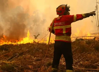 Portogallo, allerta rossa tra calore estremo e diffusione di incendi: 1.500 gli operatori attivi sul territorio Portogallo Incendi - Photo Credits Euronews.com