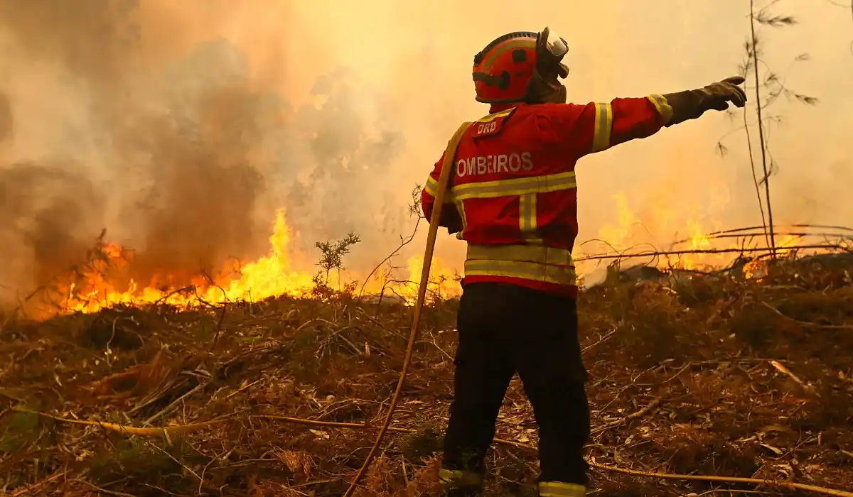portogallo allerta rossa tra calore estremo e diffusione di incendi 1500 gli operatori attivi sul territorio da Metropolitanmagazine.it portogallo allerta rossa tra calore estremo e diffusione di incendi 1500 gli operatori attivi sul territorio