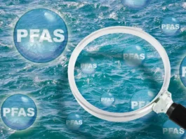 Stop alle sostanze eterne: la decisione della Svezia sui PFAS anticipa l’Europa Svezia PFAS - Photo Credits Metropolitano.it