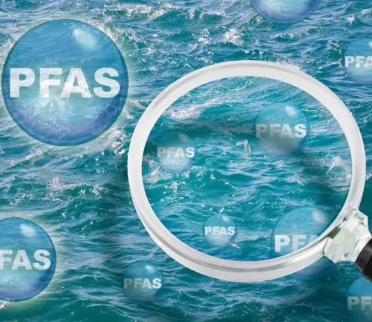 Stop alle sostanze eterne: la decisione della Svezia sui PFAS anticipa l’Europa Svezia PFAS - Photo Credits Metropolitano.it