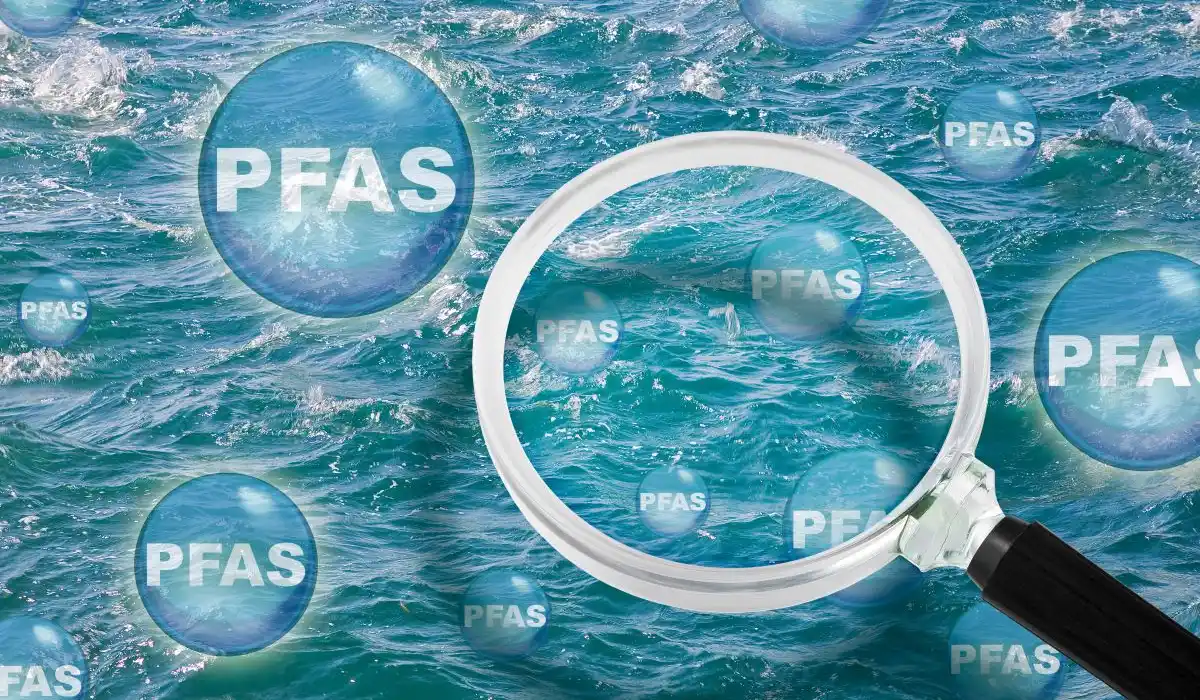 stop alle sostanze eterne la decisione della svezia sui pfas anticipa l8217europa da Metropolitanmagazine.it stop alle sostanze eterne la decisione della svezia sui pfas anticipa l8217europa