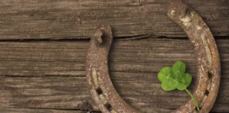 Perché si dice “tocca ferro”? L’origine del gesto: tra diavoli, cavalli, mito e scaramanzia Tocca Ferro - Photo Credits Cavallo Magazine