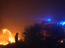 Il sud della Francia è funestato da grandi incendi boschivi: oltre diecimila persone sono state evacuate