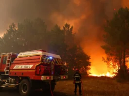 Migliaia di persone sono in fuga dagli incendi in Francia e Spagna, mentre le temperature hanno raggiunto livelli estremi nell’Europa meridionale
