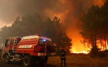 Migliaia di persone sono in fuga dagli incendi in Francia e Spagna, mentre le temperature hanno raggiunto livelli estremi nell’Europa meridionale