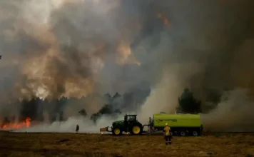 Incendi «senza precedenti» in Francia e Spagna, oltre 320mila le persone evacuate