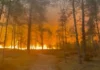 La Francia continua a bruciare: aerei antincendio in azione contro il rogo nella foresta di Fontainebleau, vicino a Parigi