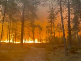 La Francia continua a bruciare: aerei antincendio in azione contro il rogo nella foresta di Fontainebleau, vicino a Parigi