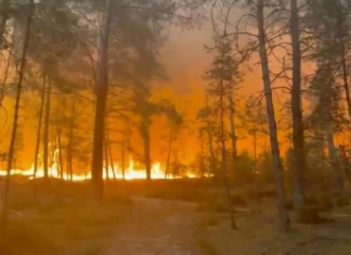 La Francia continua a bruciare: aerei antincendio in azione contro il rogo nella foresta di Fontainebleau, vicino a Parigi