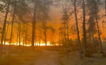 La Francia continua a bruciare: aerei antincendio in azione contro il rogo nella foresta di Fontainebleau, vicino a Parigi