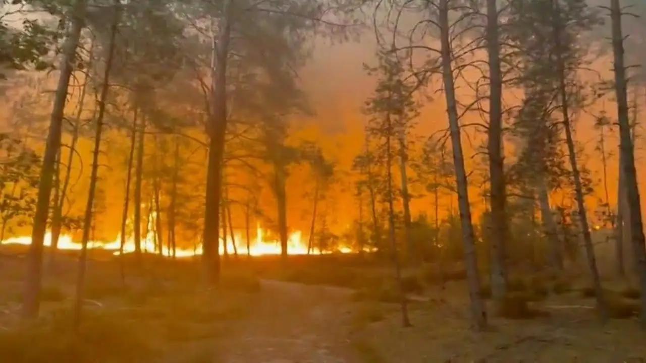 la francia continua a bruciare aerei antincendio in azione contro il rogo nella foresta di fontainebleau vicino a parigi da Metropolitanmagazine.it la francia continua a bruciare aerei antincendio in azione contro il rogo nella foresta di fontainebleau vicino a parigi