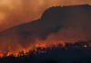 Gli incendi boschivi in Spagna sono costati la vita a dodici persone