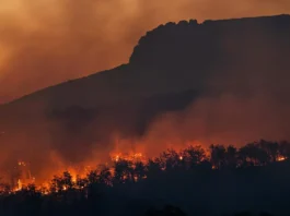 Gli incendi boschivi in Spagna sono costati la vita a dodici persone