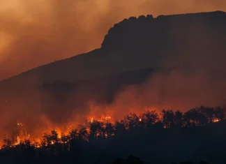 Gli incendi boschivi in Spagna sono costati la vita a dodici persone