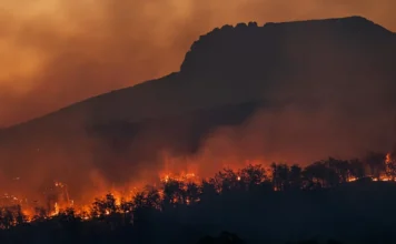 Gli incendi boschivi in Spagna sono costati la vita a dodici persone