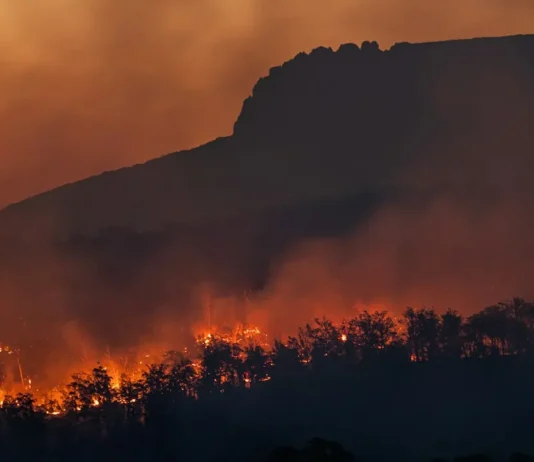 Gli incendi boschivi in Spagna sono costati la vita a dodici persone