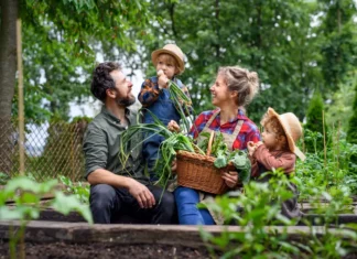 Vivere meglio: trovare il giusto equilibrio tra calcolo e intuizione nella vita quotidiana
